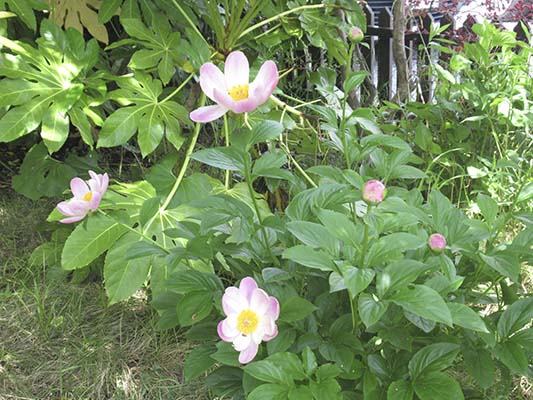 20190506a