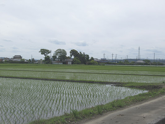 20190510a