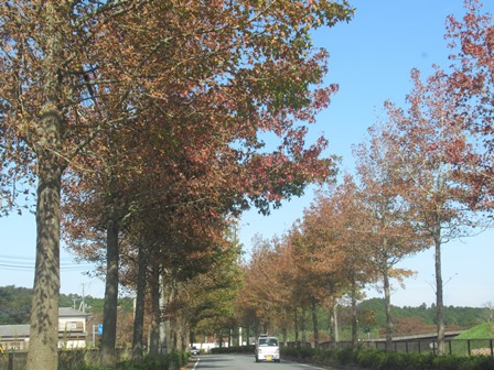 ege