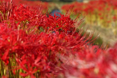 a0940_000420