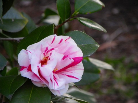 a0960_001476
