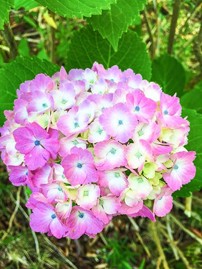 20180602