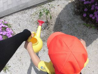 CIMG4449_R