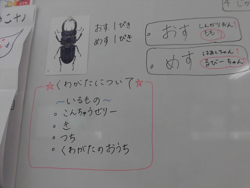 CIMG4693_R