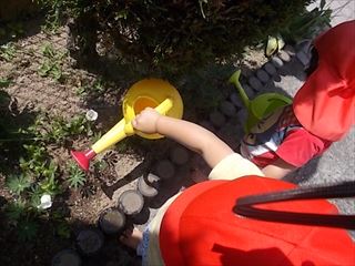 DSCN1825_R