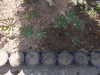 DSCN1828_R