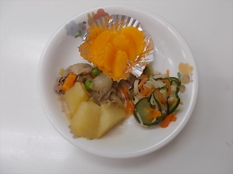 DSCN2994