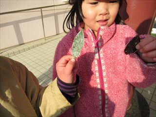 IMG_0362_R