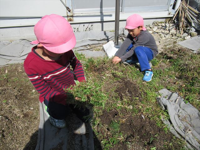 IMG_0908_R