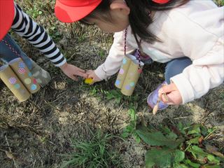 IMG_0973_R