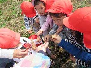 IMG_0977_R