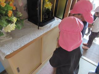 IMG_0981_R
