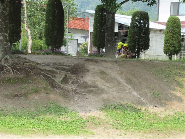 IMG_2492_R