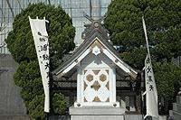 66404_photo1