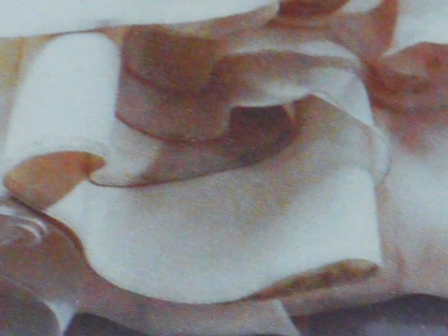 P1070461