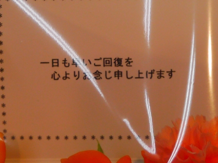 P1100515