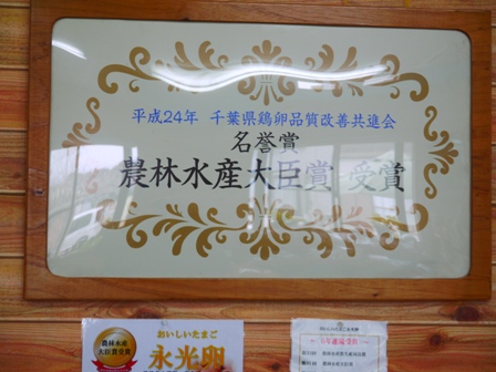 P1130306