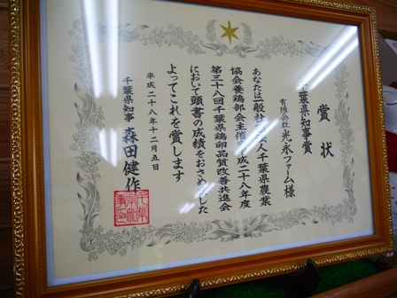 P1130310