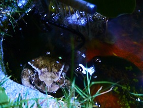 P1140180
