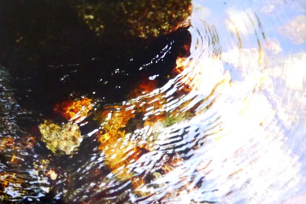 P1170924