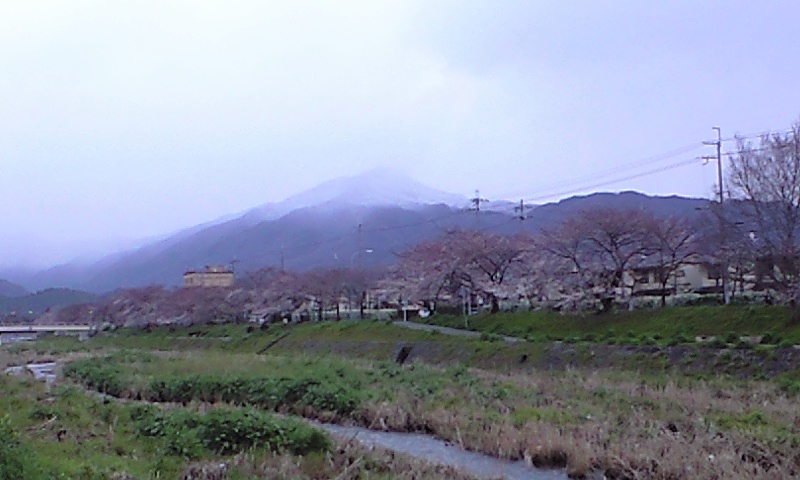 iei1