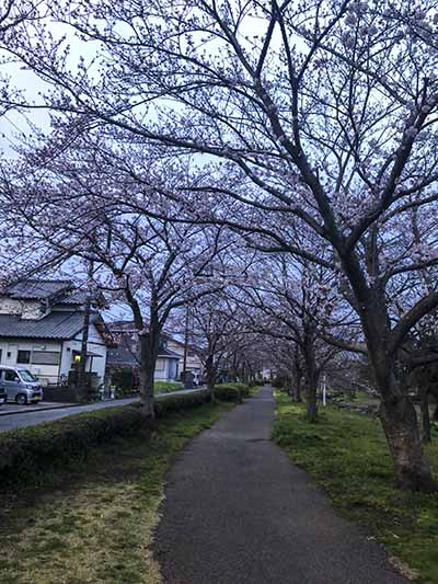 20180328b