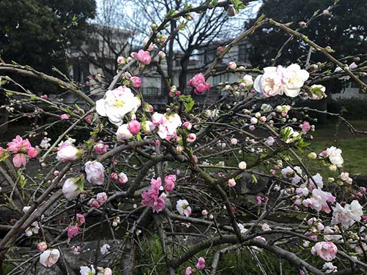 20180328d