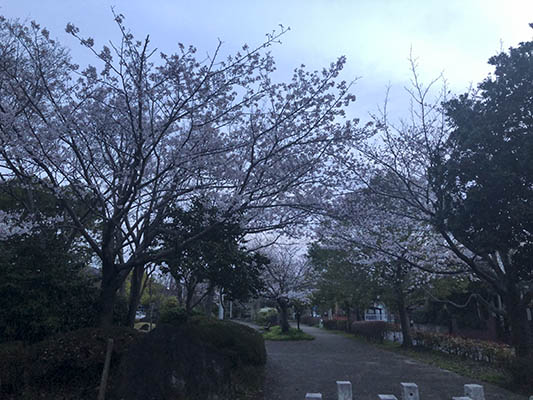 20190328a