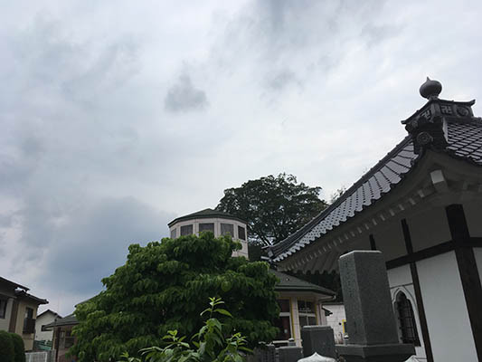 20190531b