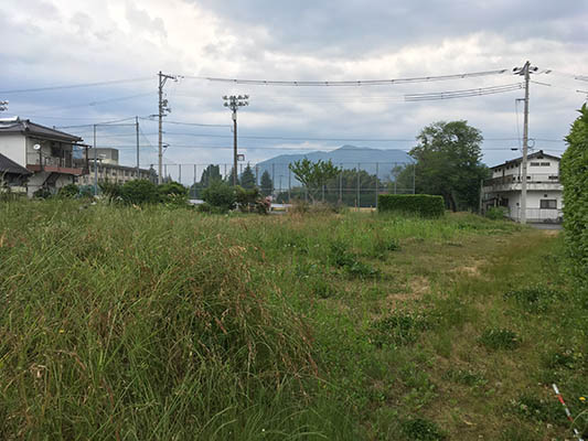 20190531f
