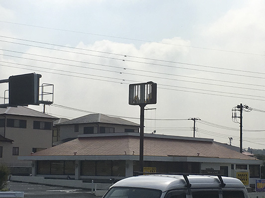 20190909l