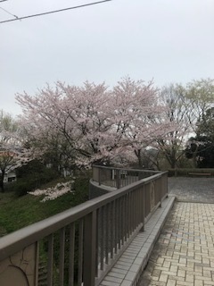 IMG_0180