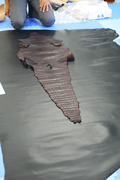 P1200287