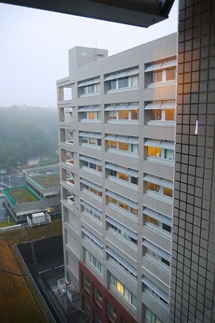 sdf